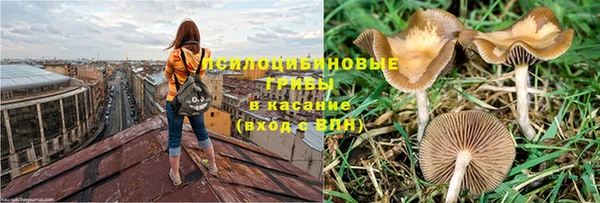 кокс Арсеньев