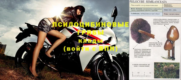 стаф Покров